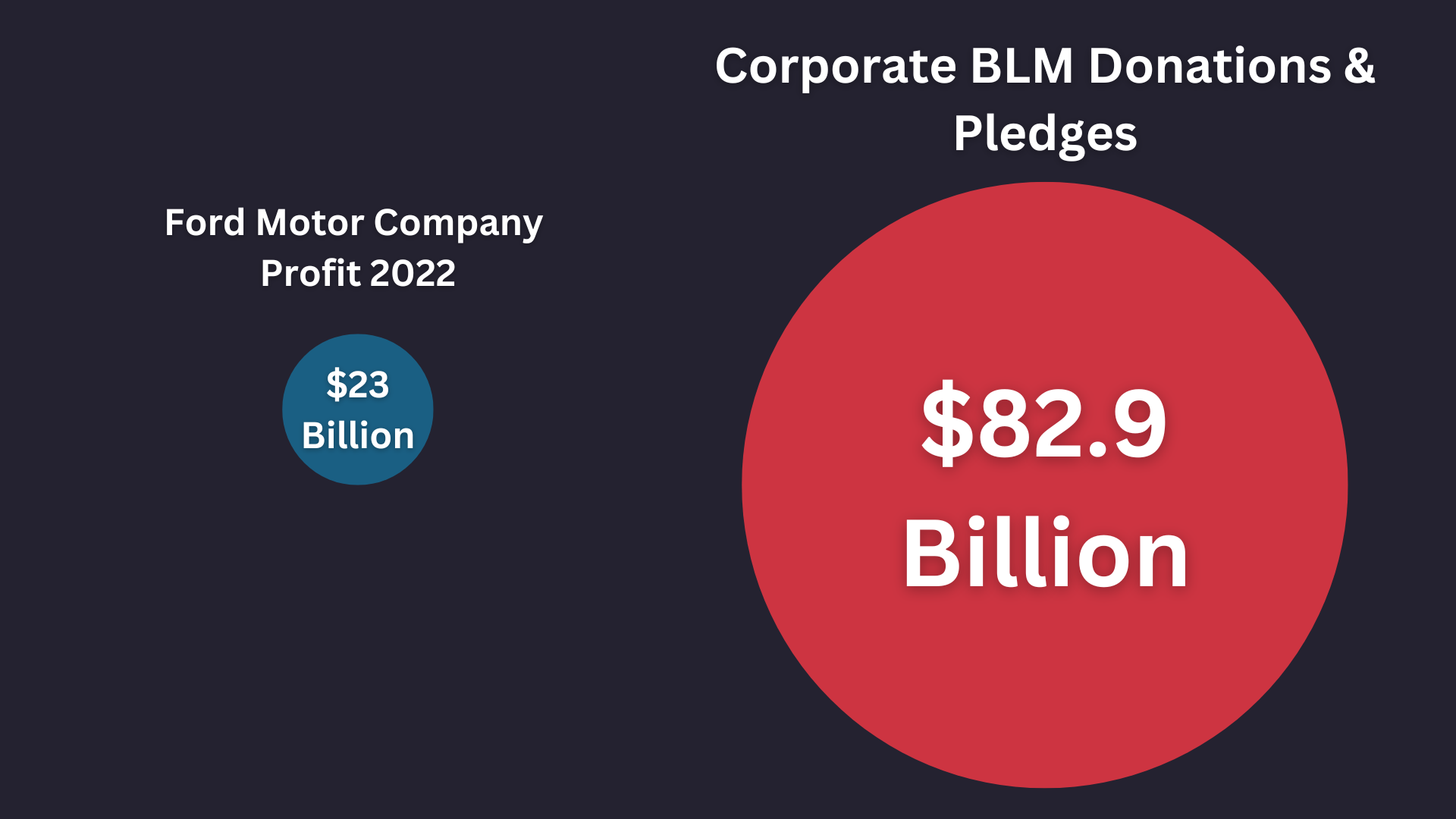 BLM Donations and Pledges Image